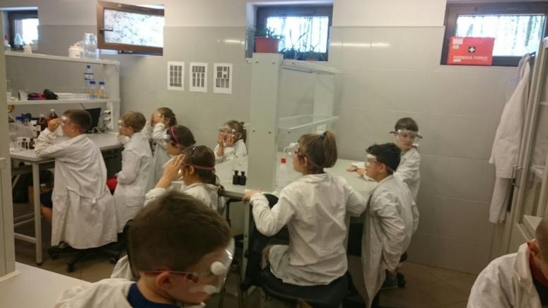 3b_laborat