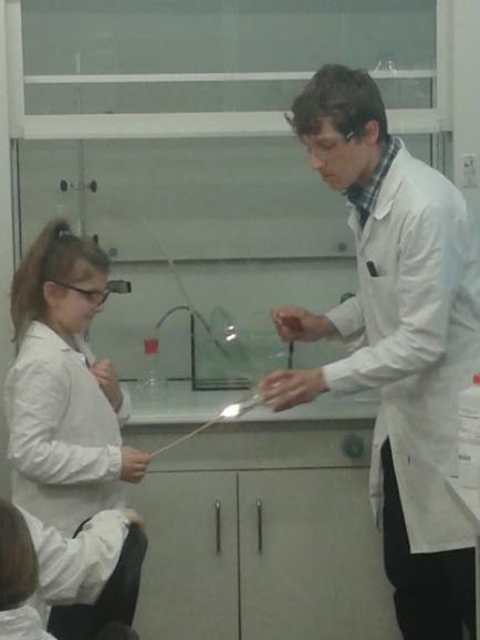 3b_laborat_dGMARA