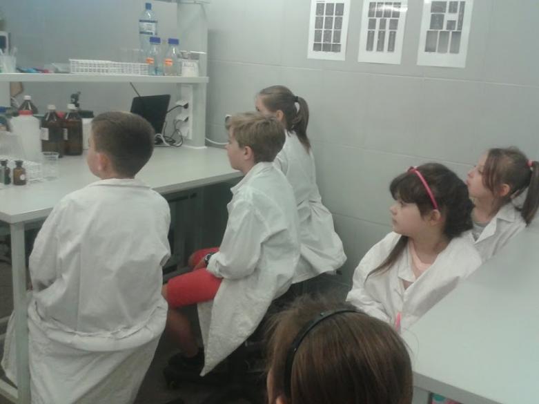 3b_laborat_kuba